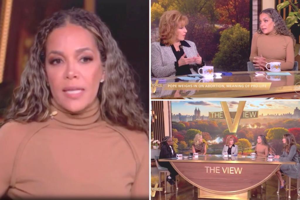 'The View' co-host Sunny Hostin calls pro-lifers | Gossip Wire