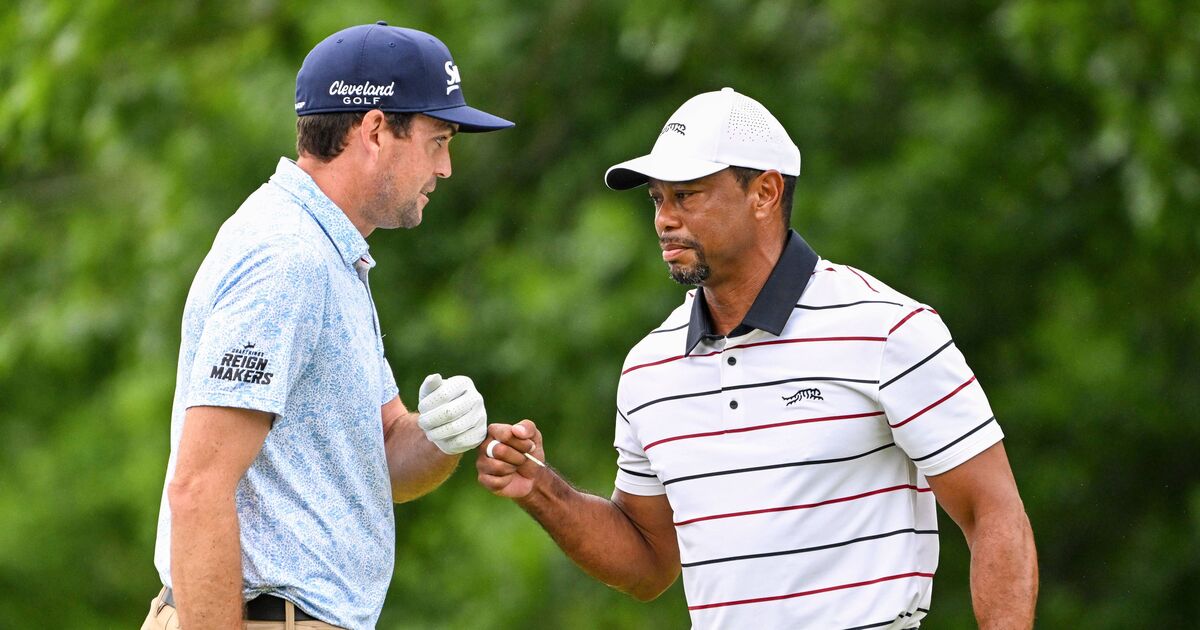 Tiger tipped for Ryder Cup captaincy after Bradley | Golf News