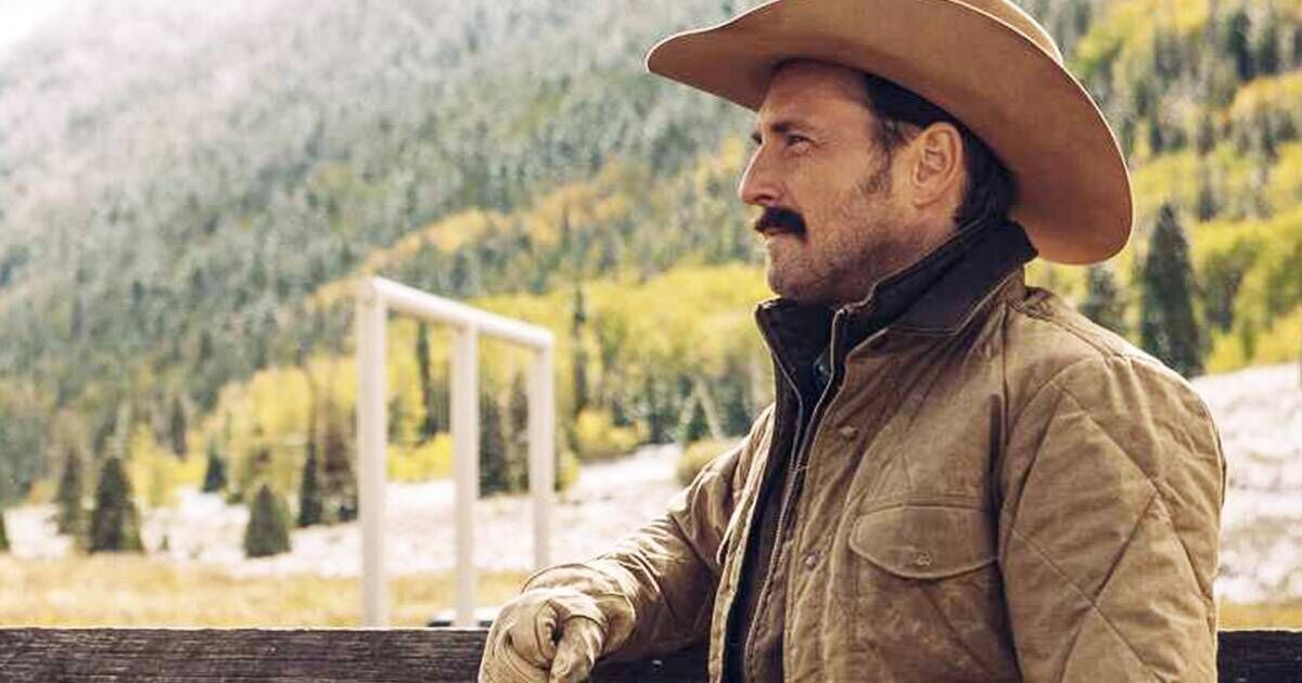 Underrated comedy sees Yellowstone star looking | TV Shows