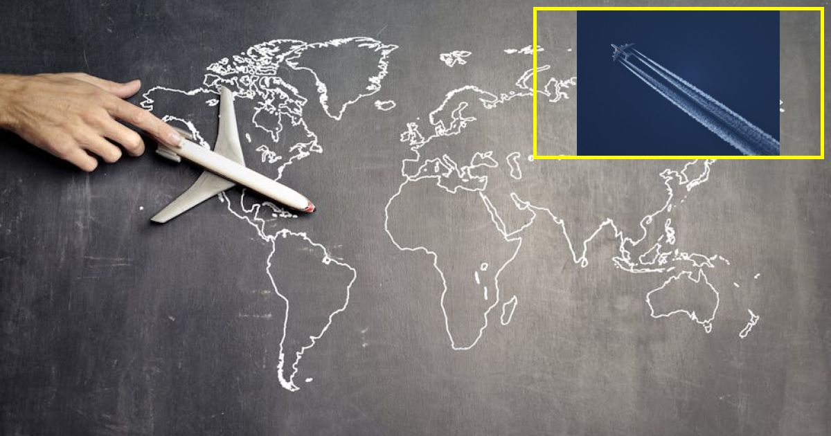 International airline shutting down, all flights canceled