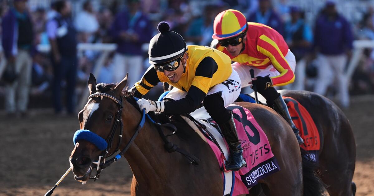 Super Corredora wins the Breeders' Cup Juvenile
