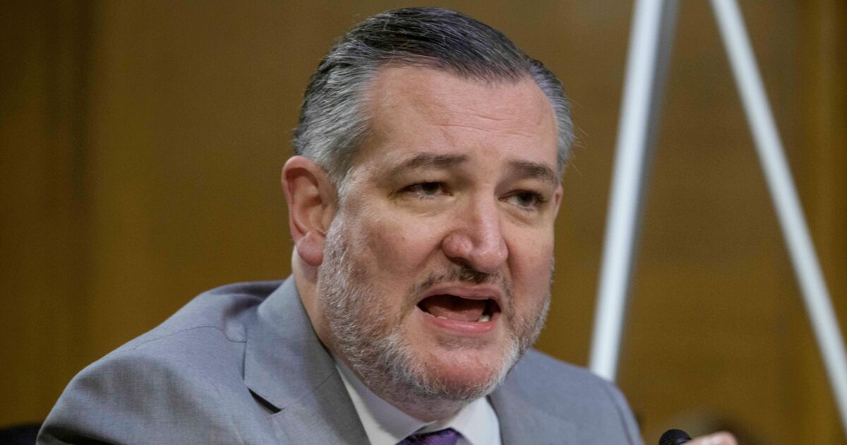 Ted Cruz warns of 'disaster' in midterms after