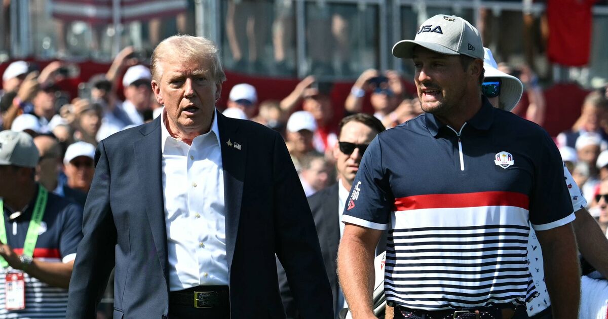 DeChambeau talks Trump golf game at White House | Golf News