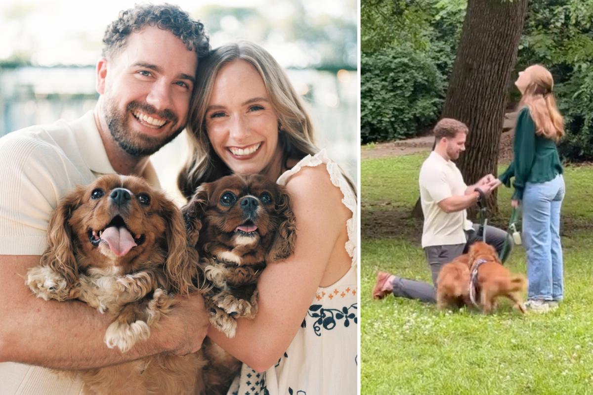 Exclusive | Puppy Love: Couple with the same dog | Lifestyle News