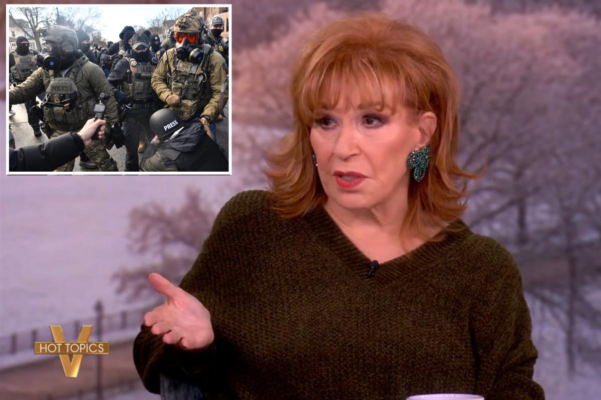 Joy Behar claims Trump is aiming to use ICE | Gossip Wire