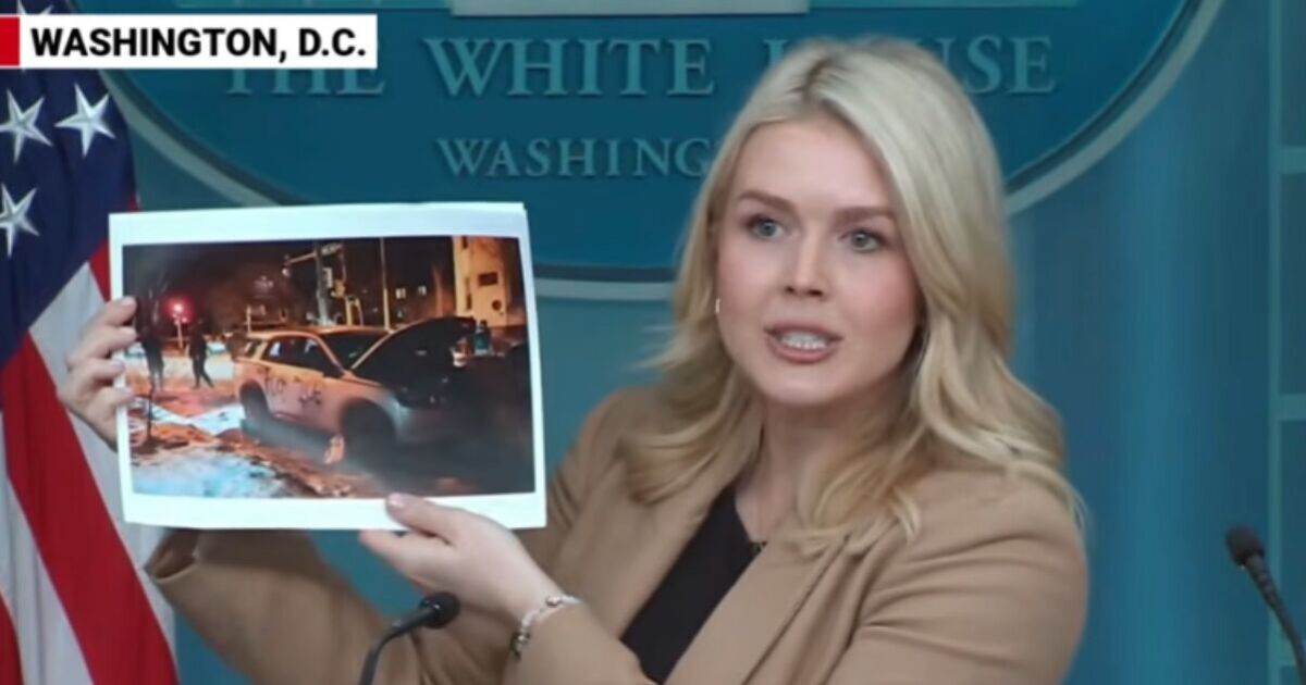 Karoline Leavitt holds up images of despicable