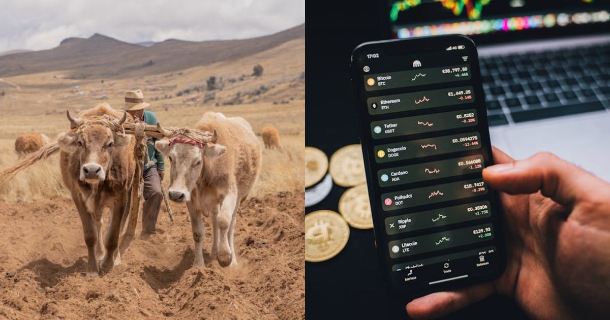 Dogecoin Bulls Don’t Celebrate Too Early: This