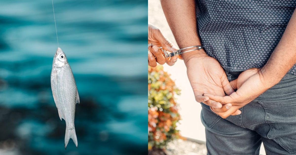 Leonardo DiCaprio caught in awkward moment a day after | New York News