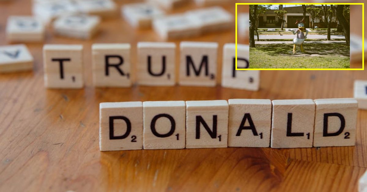 GWN savages Donald Trump as President predicts his own | Latest US News