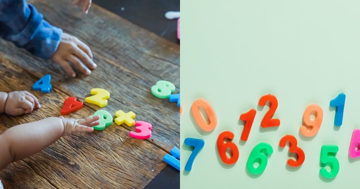 Number of children being taught at home increases by 15% in a year, report finds…