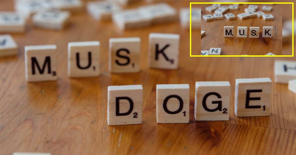 Elon Musk, Ryanair CEO escalate feud over Starlink Wi-Fi on planes: Utter idiot