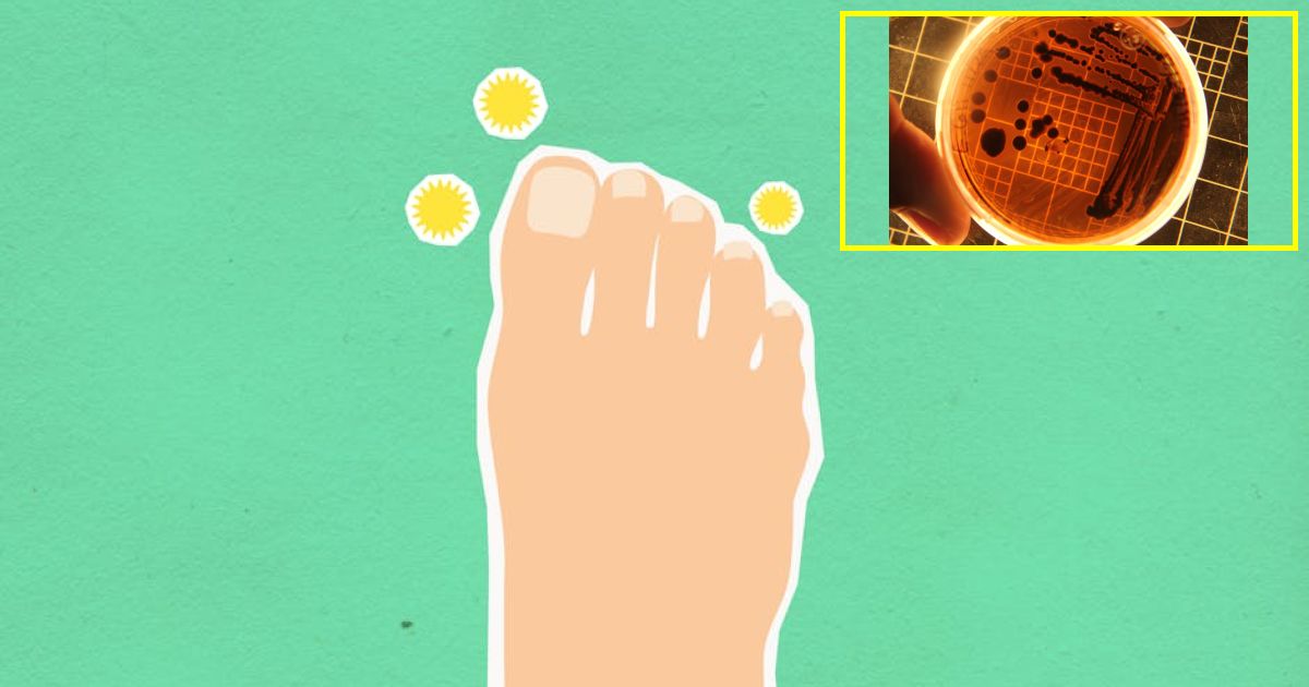 Deadly viruses rise as experts warn Disease X could cause pandemic -…