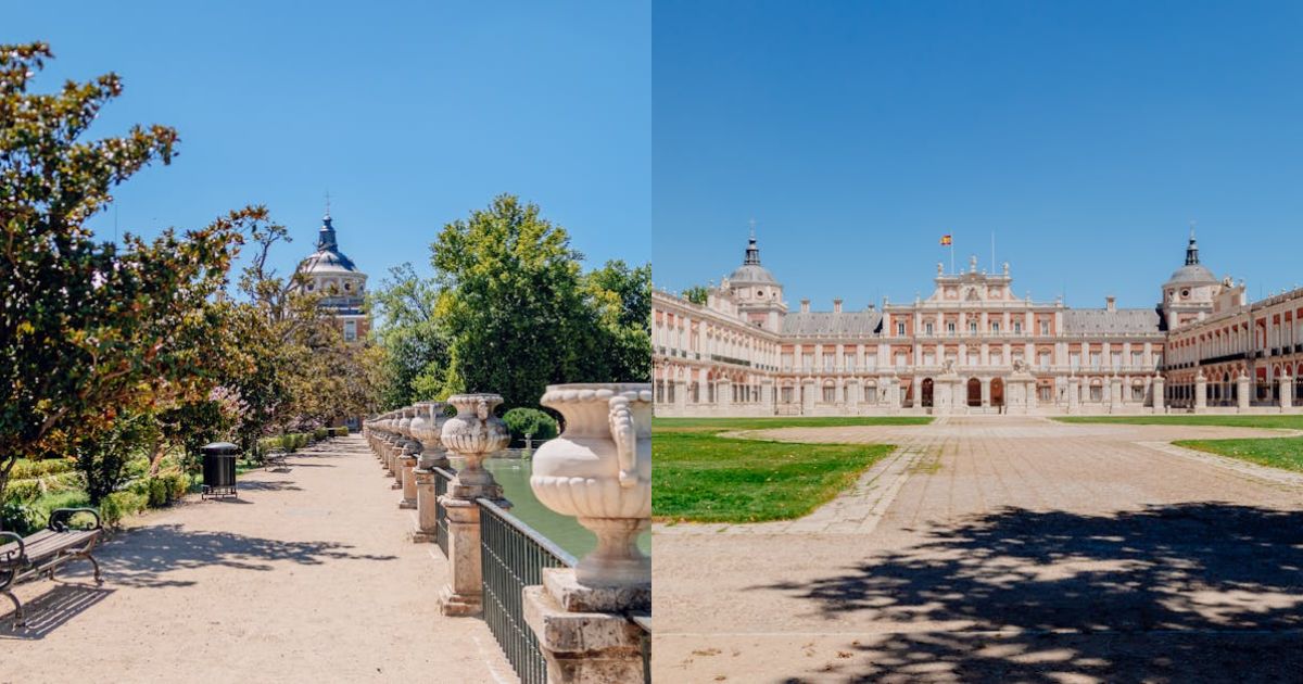 Real Madrid manager Xabi Alonso leaves club by mutual consent | UK News