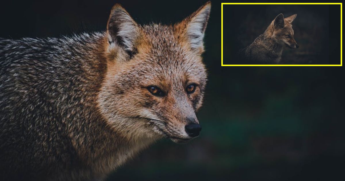 FOX slammed for using AI in NASCAR Daytona 500 commercial debuted during