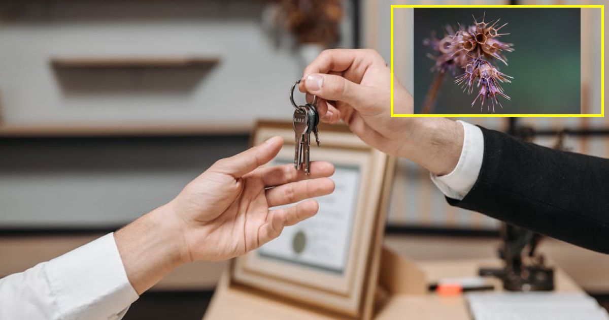 Pentagon takes key step toward blacklisting Anthropic as Friday deadline to remove safeguards looms: report