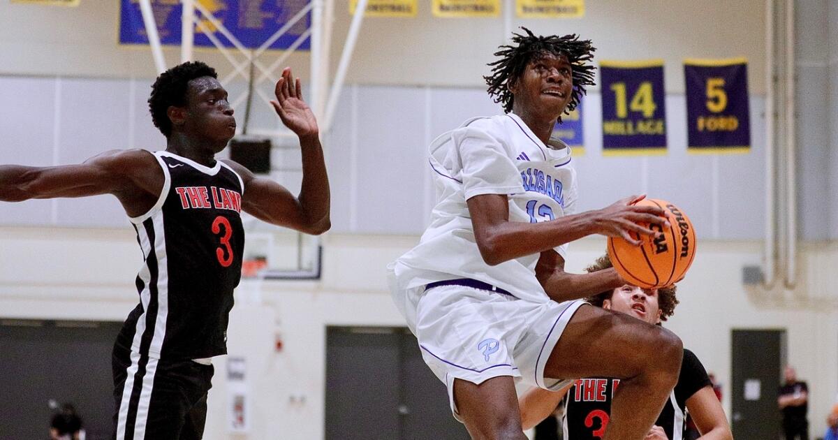 Popoola twins lead Palisades to City Open Division