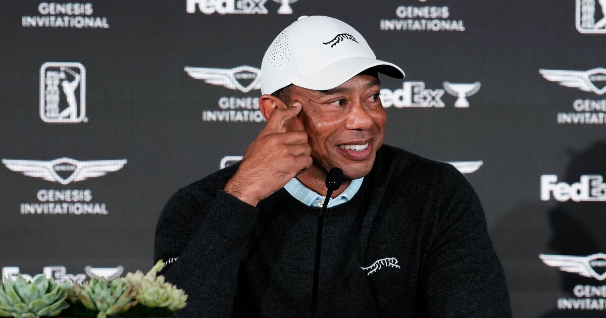 Tiger Woods backed for Ryder Cup captain role | Golf News