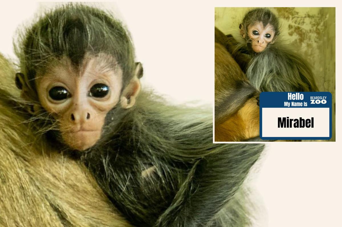 CT zoo hosted an online poll to name its baby | Lifestyle News