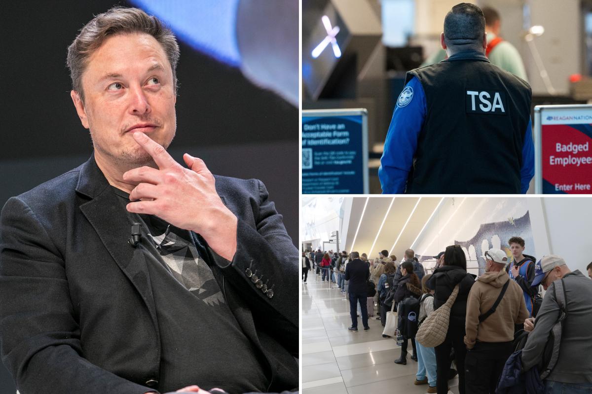 Elon Musk offers to pay TSA workers salaries amid | Gossip Wire