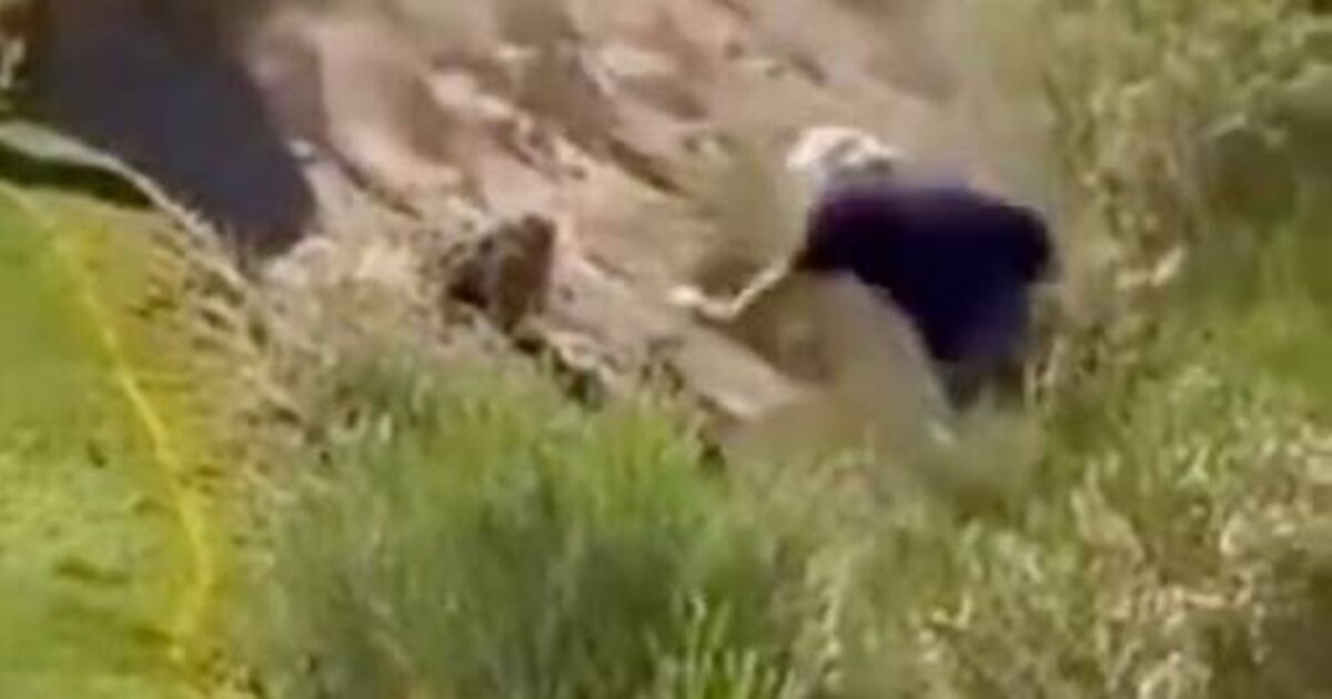 John Daly has typical response to hefty tumble at | Golf News