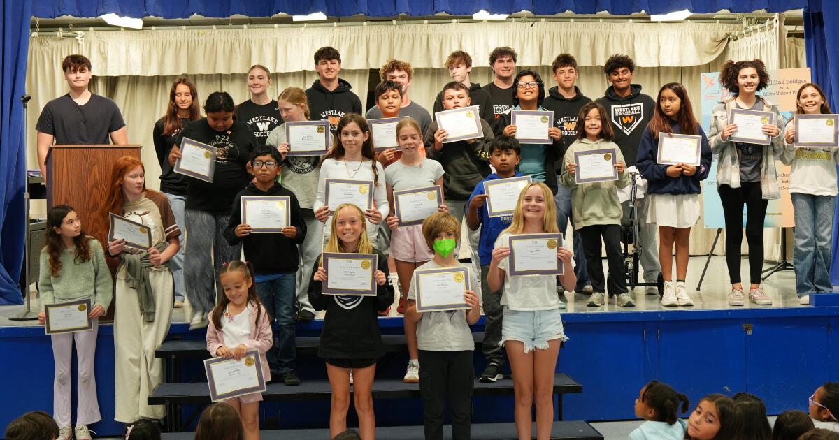 'Make Great Plays' gives Westlake athletes a