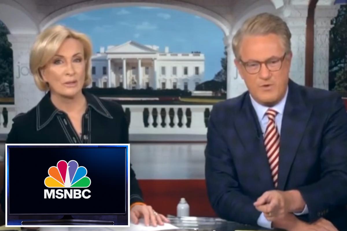 MS NOW cuts an hour from Morning Joe in drastic | Gossip Wire