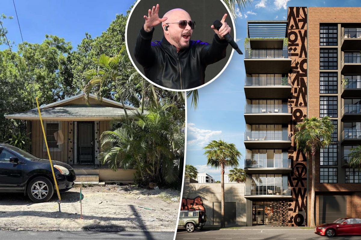 Pitbull wants to turn childhood home into music