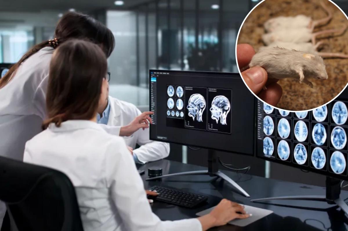 Scientists revive frozen brain activity in | Lifestyle News