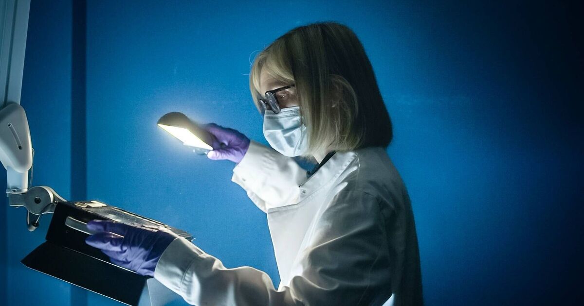 BBC adds new episode of grisly true crime documentary | UK News