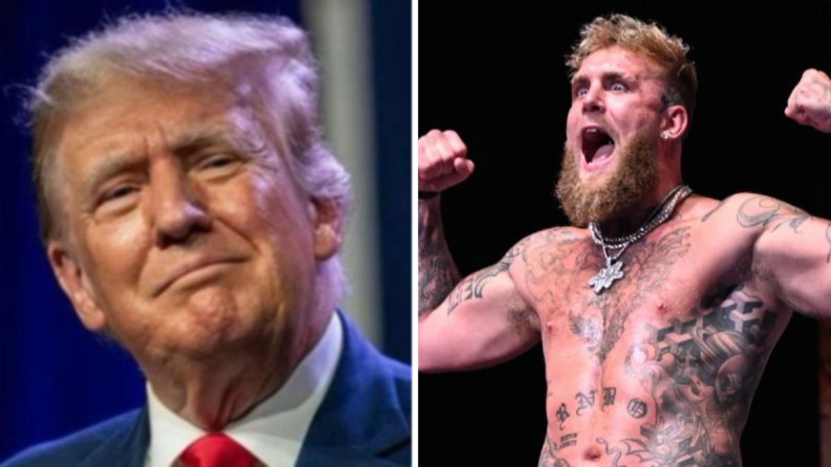 Donald Trump proposes bizarre next fight for Jake