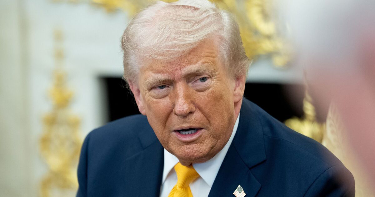 Fuming Trump brands NATO allies cowards and says | Political News