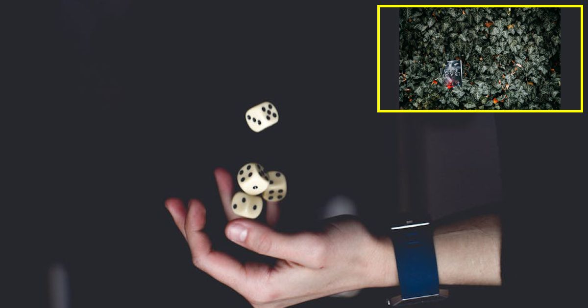 Larry Ellisons Oracle slashing thousands of jobs due to AI cash crunch: report