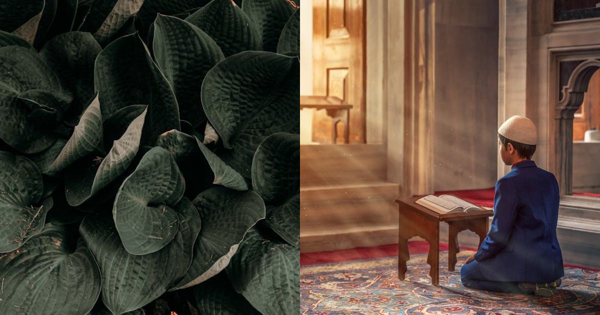 Mohamed Salah to leave Liverpool at end of season, club say | UK News