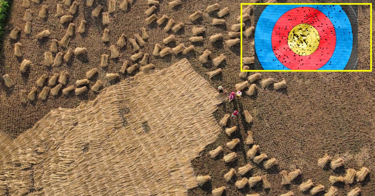 FCC targets routers in sweeping foreign tech crackdown that could impact TP-Link