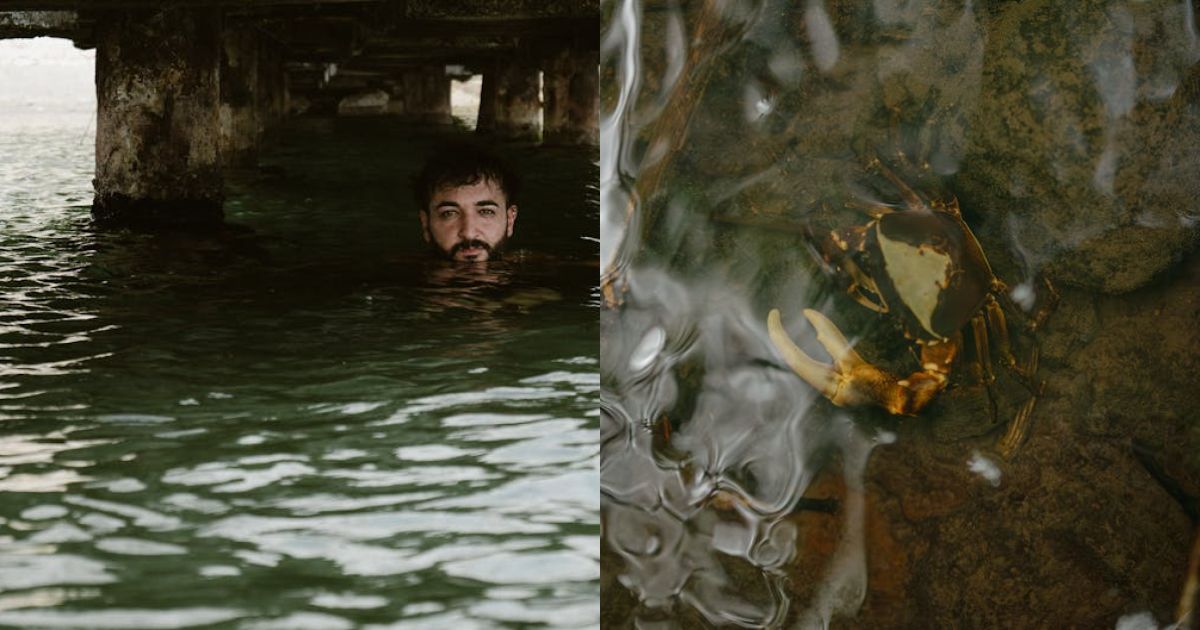 Ripple’s Hidden Road Receives DTCC Listing, And