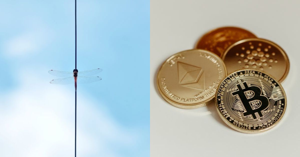 Cardano Bottom Signal? Shorts Hit Highest Level