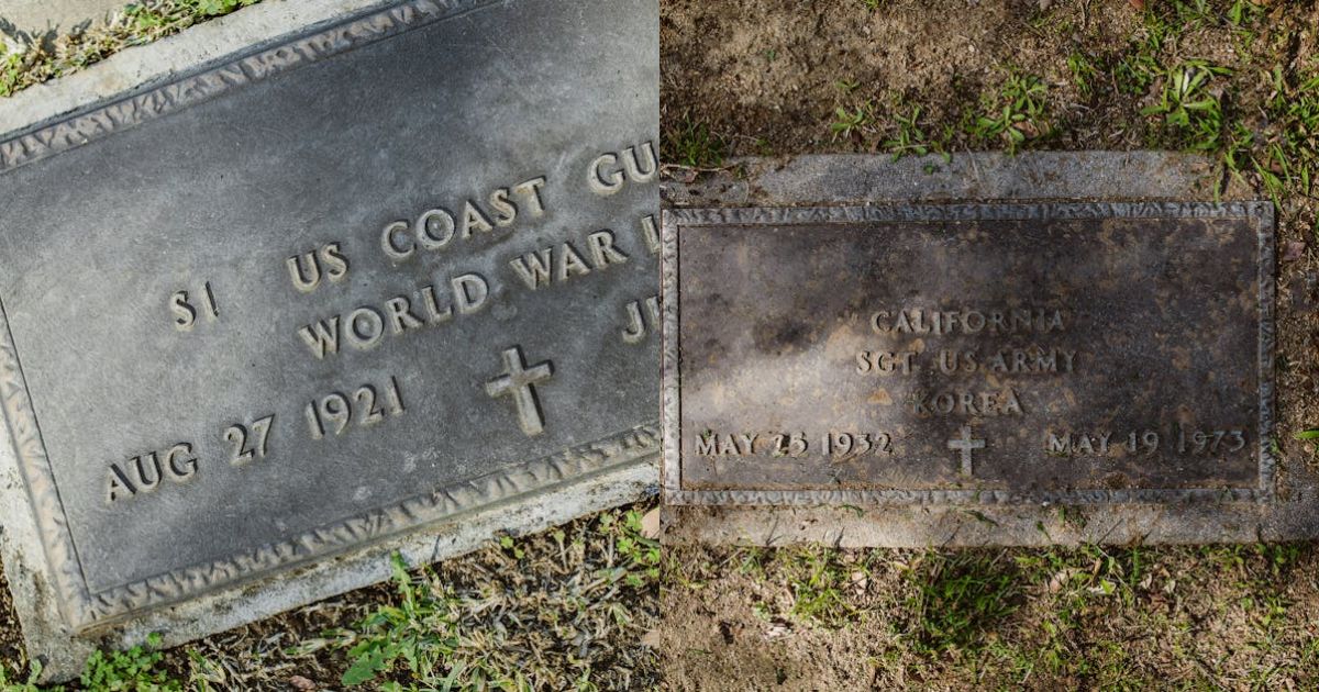 War veteran, 83, dies after illegal immigrant | New York News