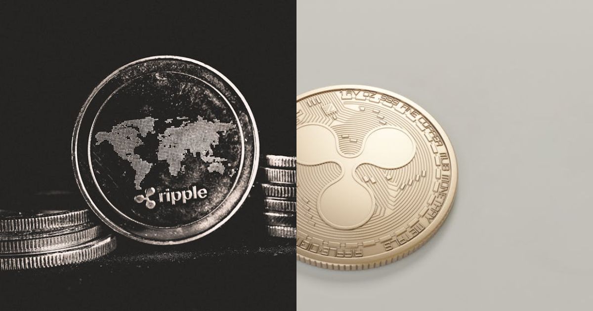 XRP Global Distribution Shows The Major Holders