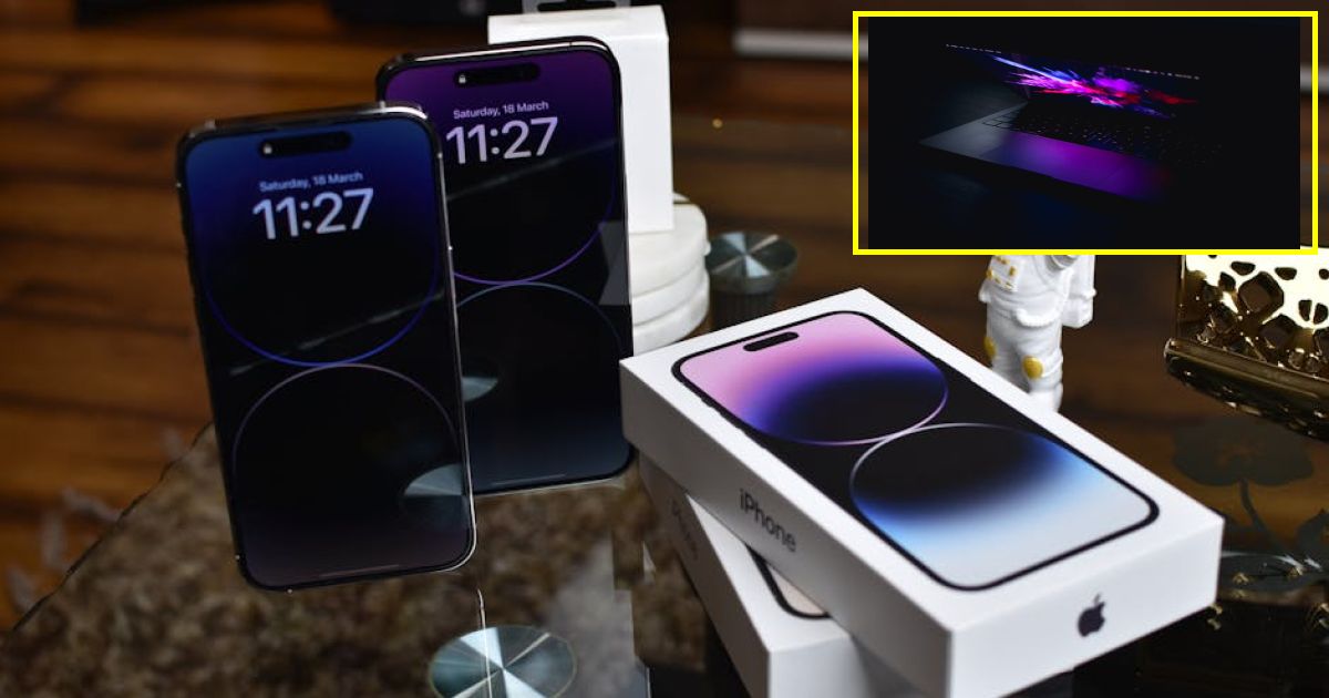 Tech pro saves his dying dog by using ChatGPT to code a custom cancer vaccine