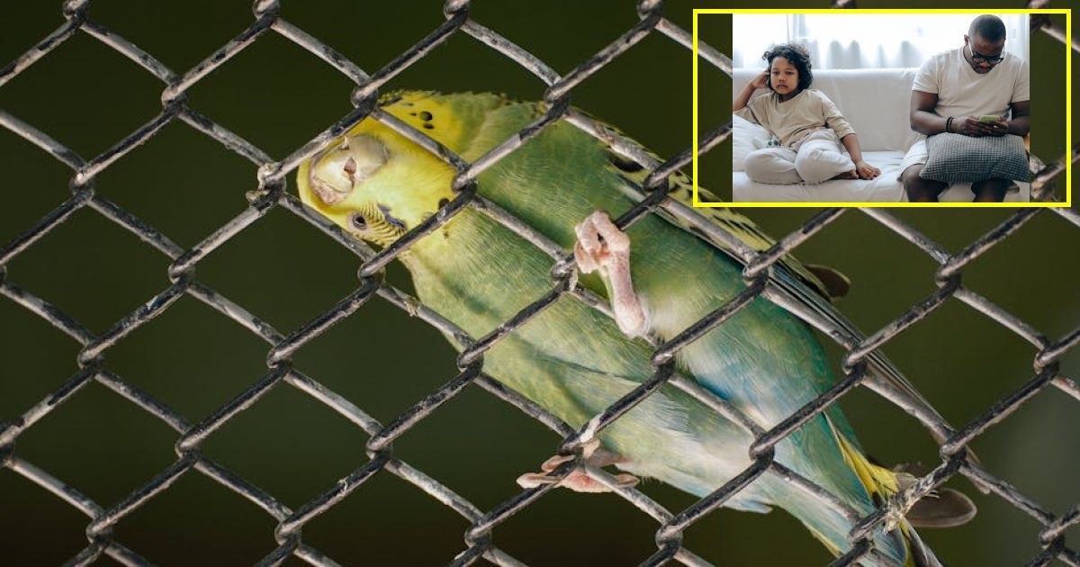 US Gen Zers are becoming more miserable — despite happier youth elsewhere