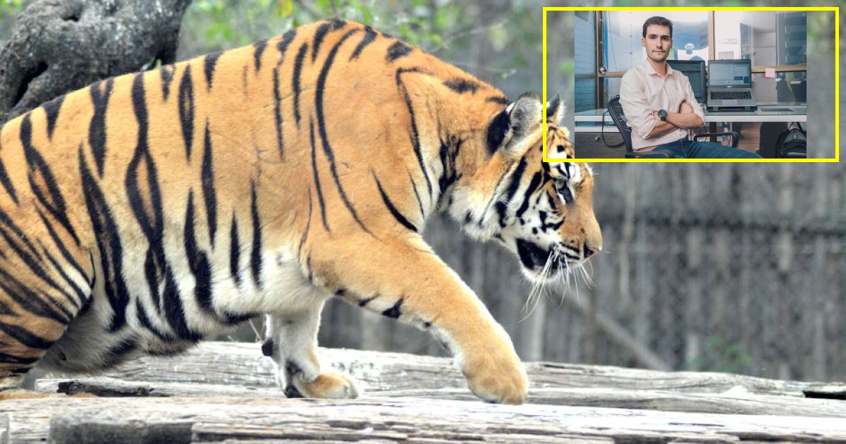 OpenAI's Sam Altman sparks 'anti-human' backlash following