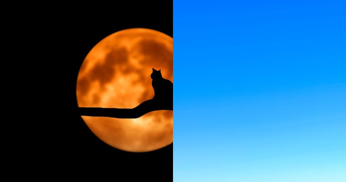 Breaking Down The $100 XRP Prophecy: Is There A