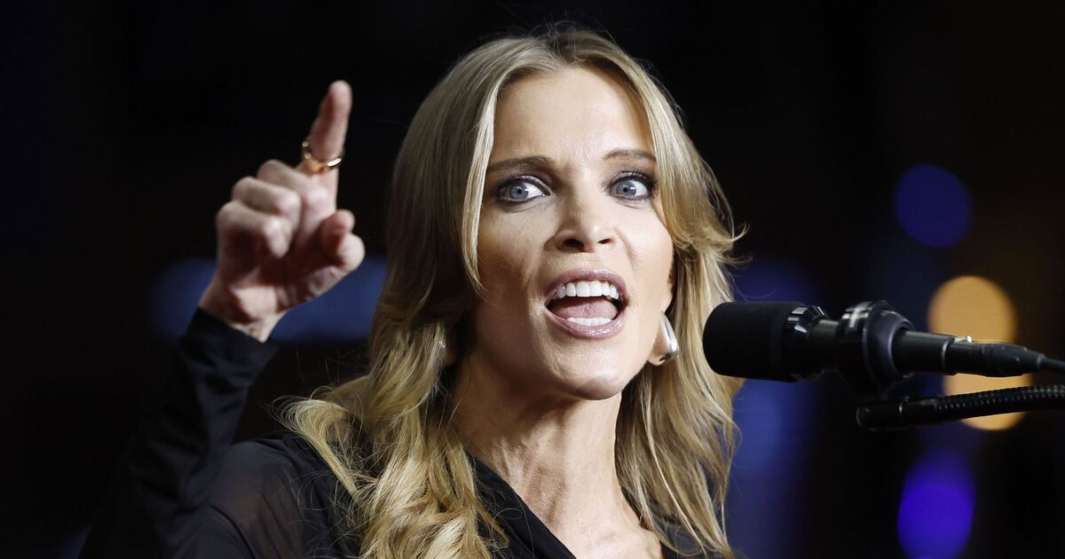 Megyn Kelly rages as Fox News merges US and | TV Shows