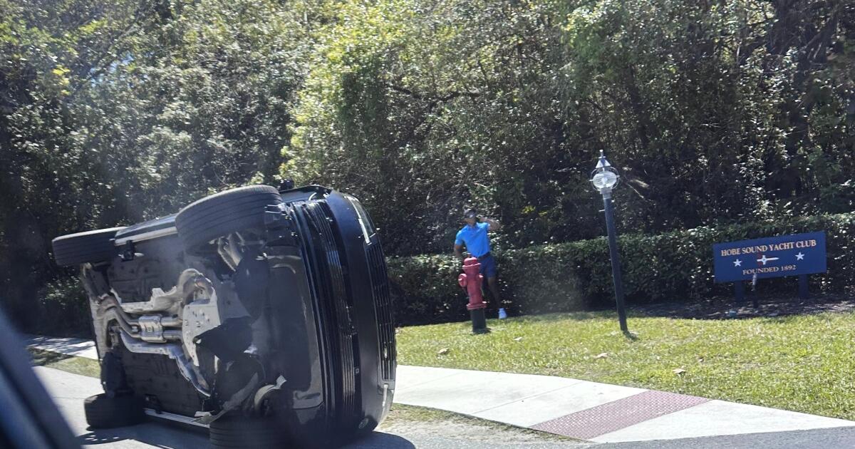 Tiger Woods failed a sobriety test, possessed