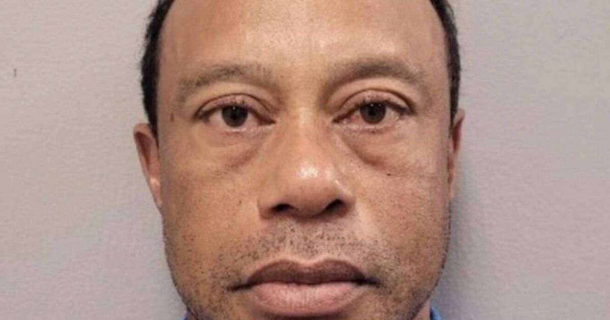 Tiger Woods mugshot released after golf star | Golf News