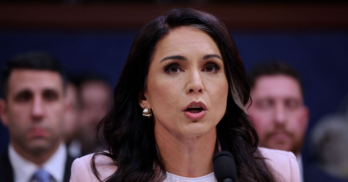 Trump says Tulsi Gabbard is softer’ than him on | Political News