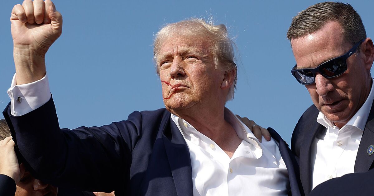 White House slams crazed new theory claiming Trump