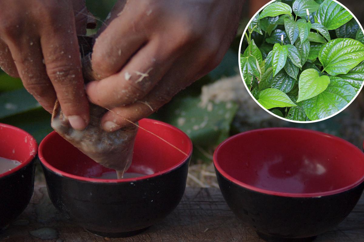 383% jump in calls to poison control center over | Lifestyle News