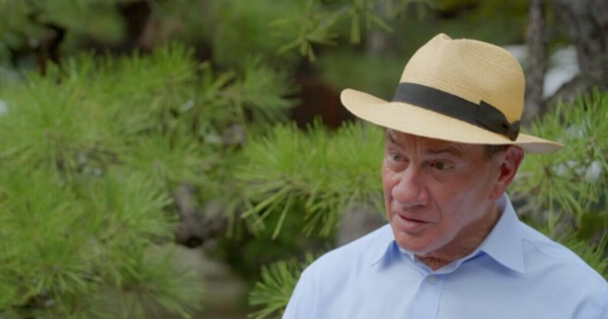 BBCs Michael Portillo halts Great Railway Journey | UK News