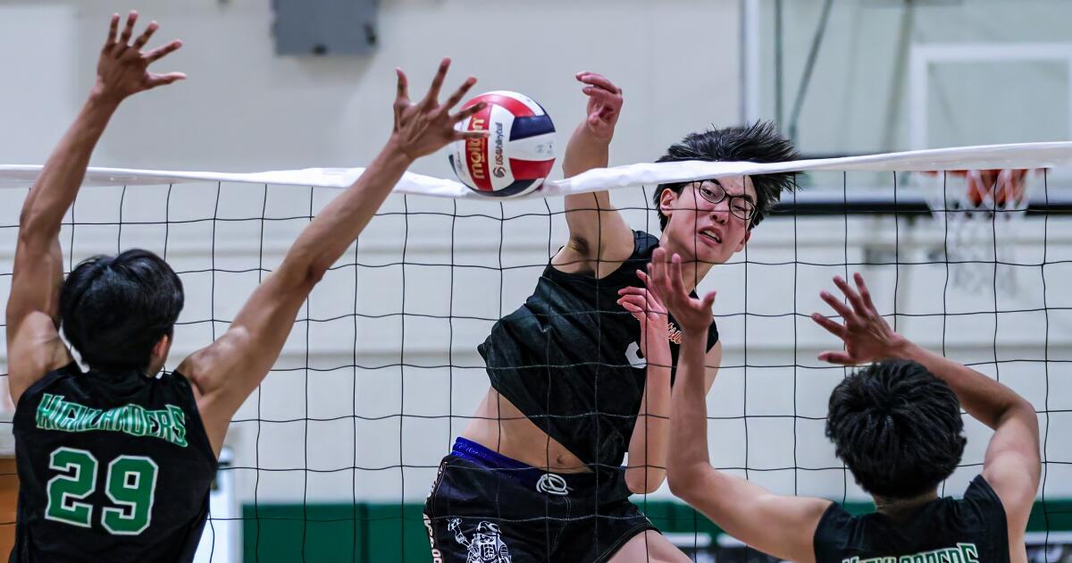 Chatsworth Highs Grant Wang hits the MIT jackpot